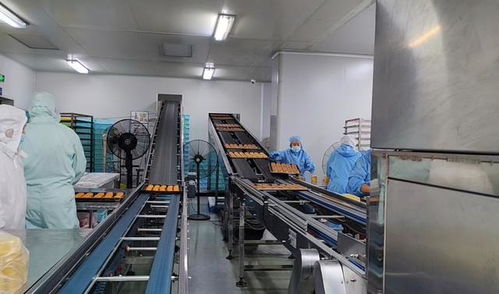 月餅賣(mài)不動(dòng)了 記者走訪上海代工廠 500種口味推陳出新,b端市場(chǎng)仍有潛力