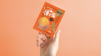 華味嘟豆干制品 logo設(shè)計和包裝設(shè)計